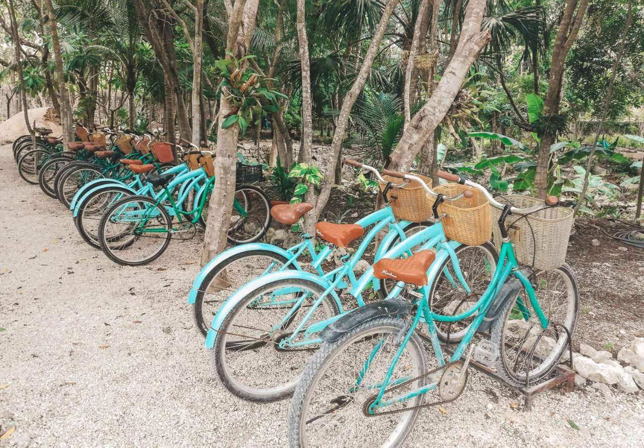 Akumal Natura Glamping Εξωτερικό φωτογραφία