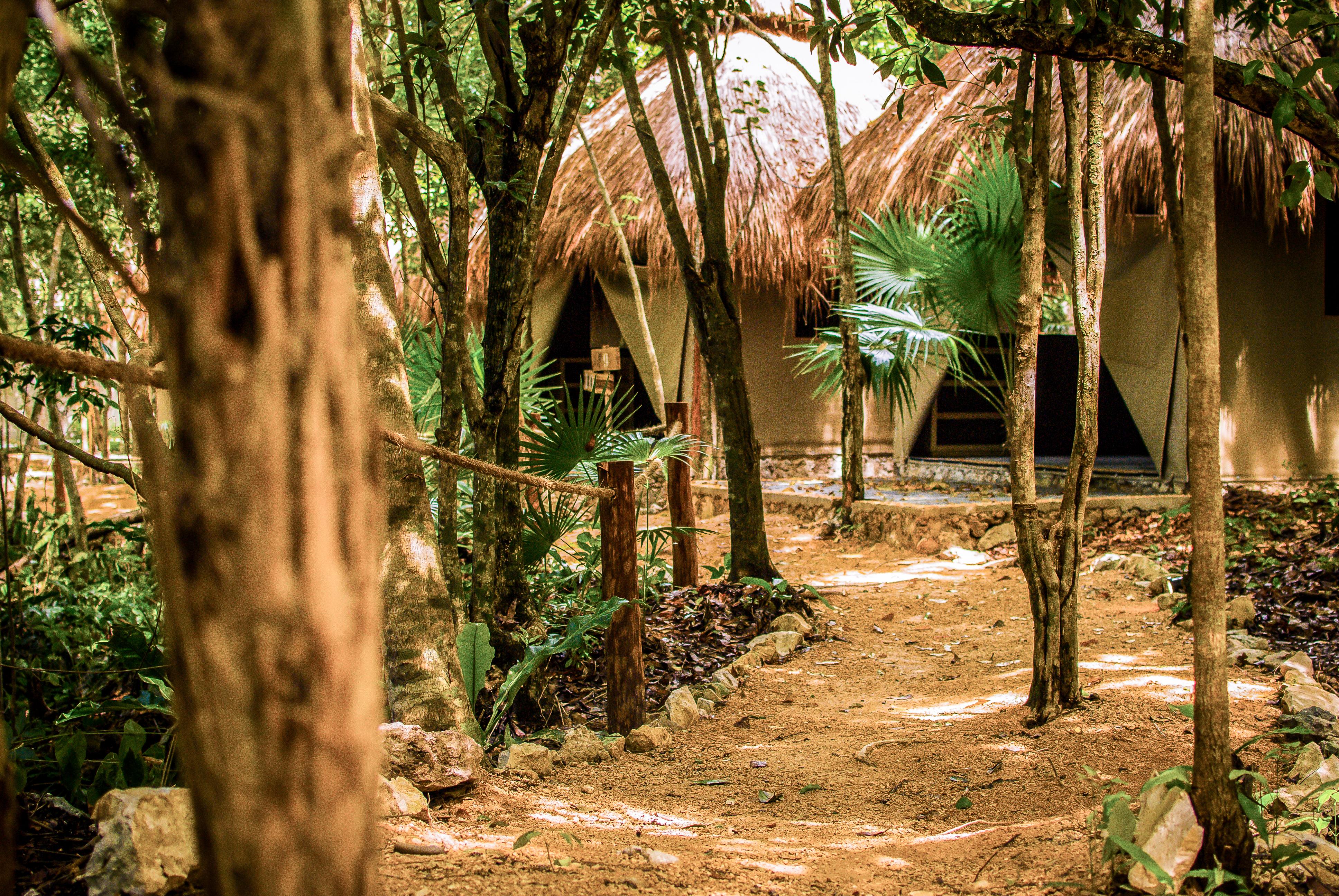 Akumal Natura Glamping Εξωτερικό φωτογραφία
