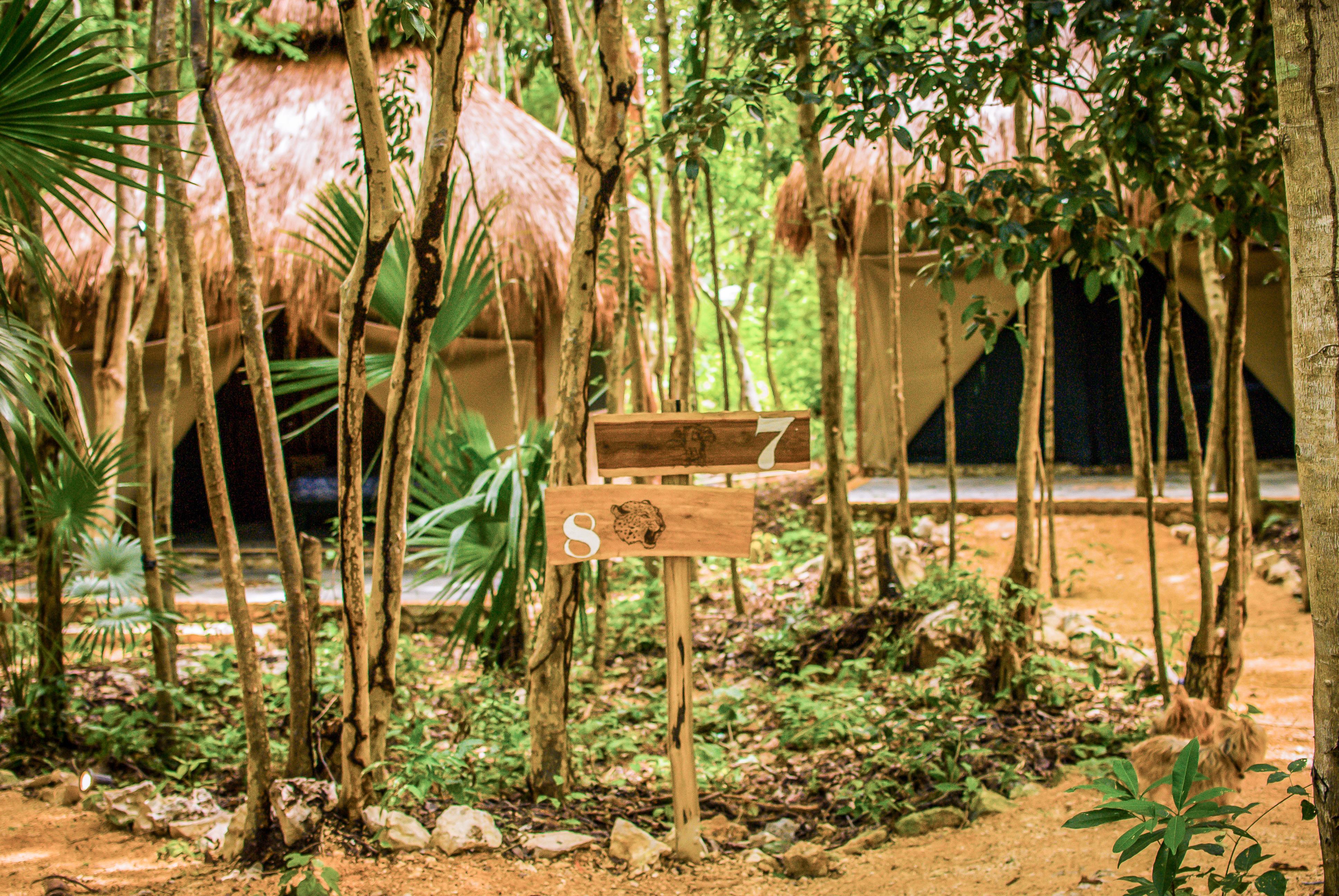 Akumal Natura Glamping Εξωτερικό φωτογραφία