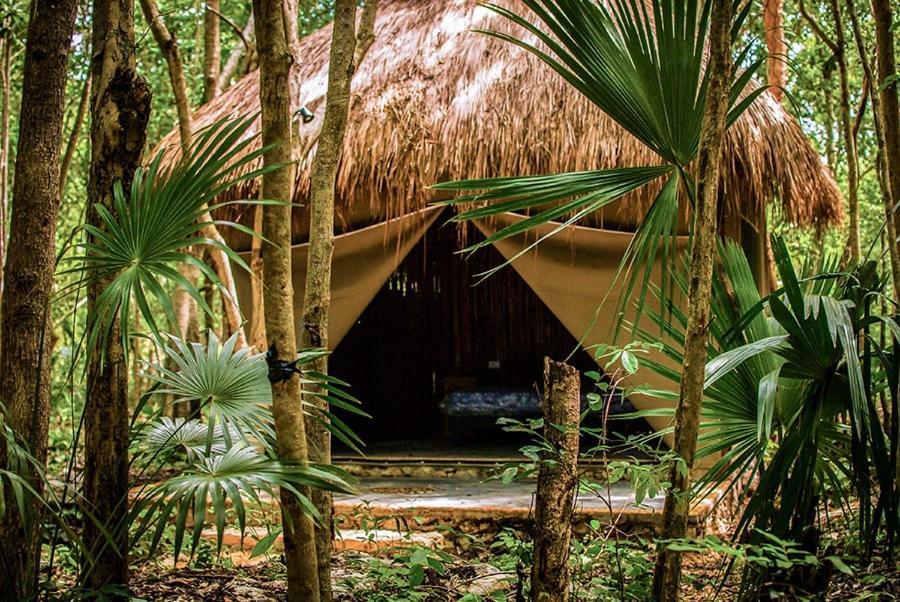 Akumal Natura Glamping Εξωτερικό φωτογραφία