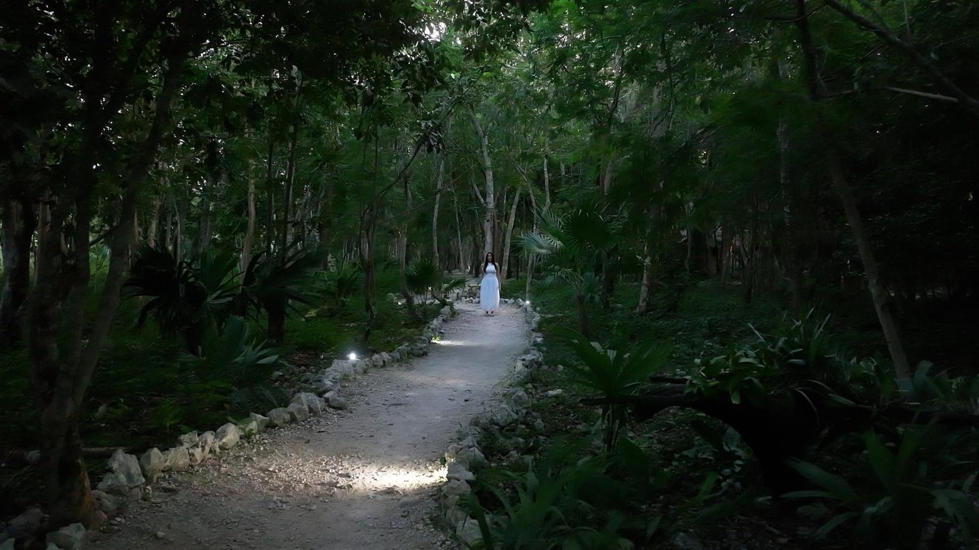 Akumal Natura Glamping Εξωτερικό φωτογραφία