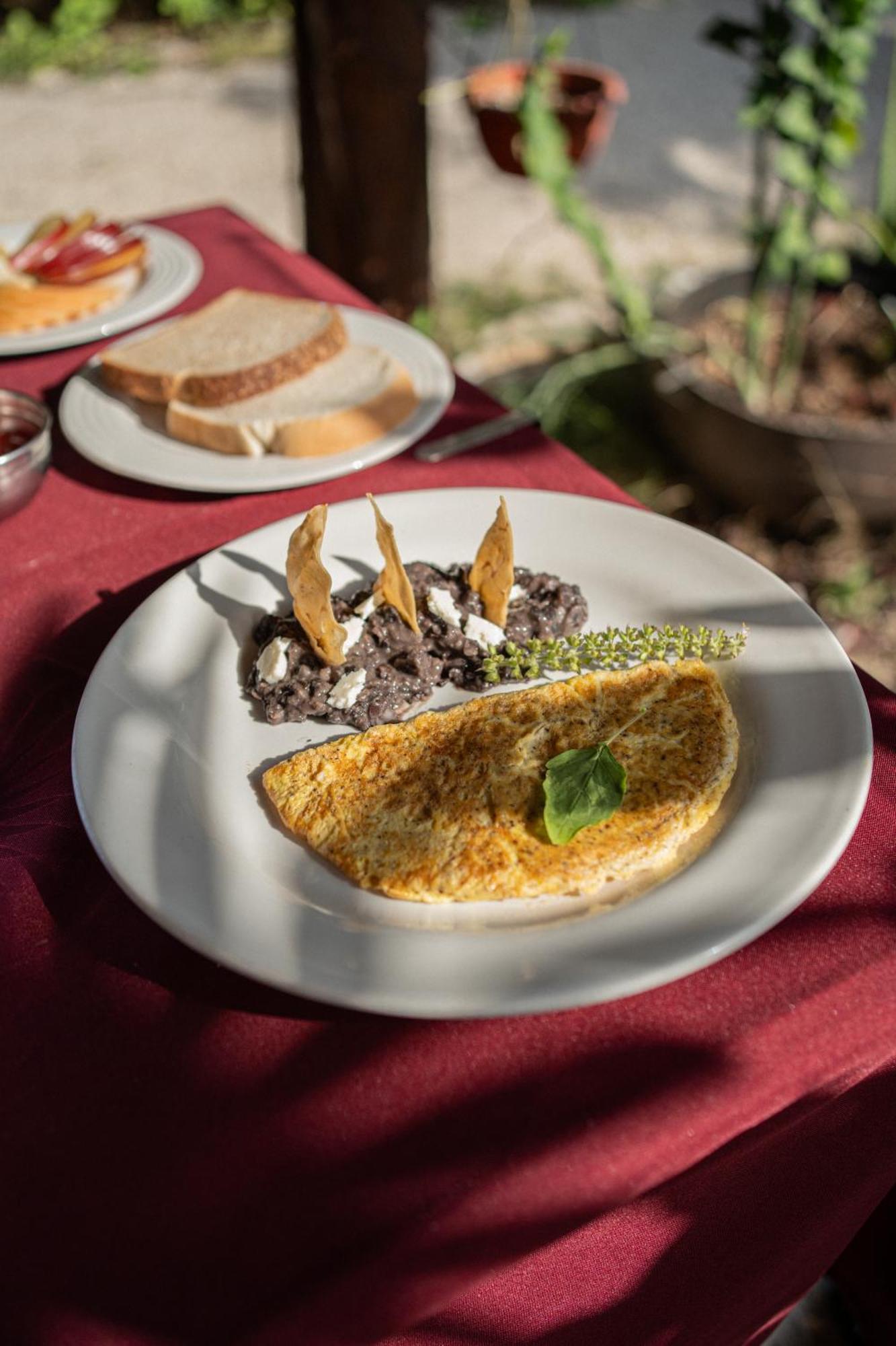 Akumal Natura Glamping Εξωτερικό φωτογραφία