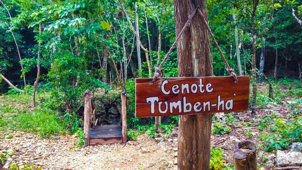 Akumal Natura Glamping Εξωτερικό φωτογραφία
