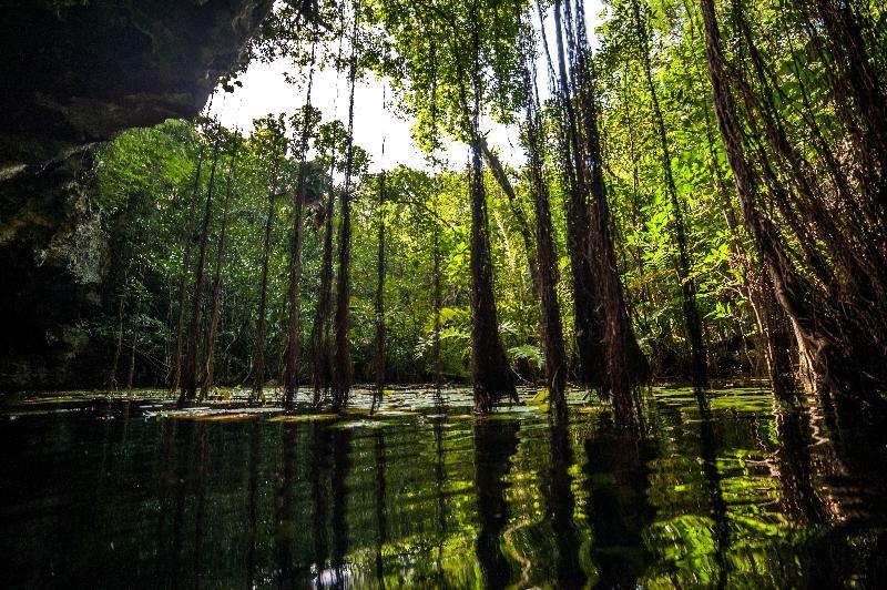 Akumal Natura Glamping Εξωτερικό φωτογραφία